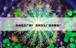 苏州优化厂商？ 苏州优化厂商有哪些？