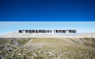 推广教程排名网站SEO（有效推广网站）