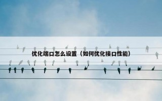 优化端口怎么设置（如何优化接口性能）