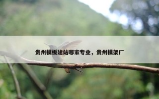 贵州模板建站哪家专业，贵州模架厂