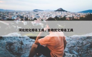 河北优化排名工具，自助优化排名工具