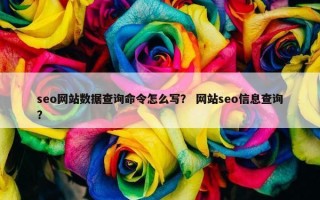 seo网站数据查询命令怎么写？ 网站seo信息查询？