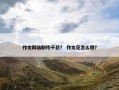 作文网站制作干花？ 作文花怎么做？