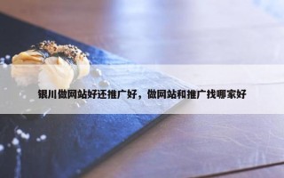 银川做网站好还推广好，做网站和推广找哪家好
