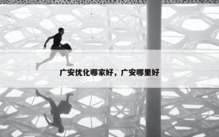 广安优化哪家好，广安哪里好