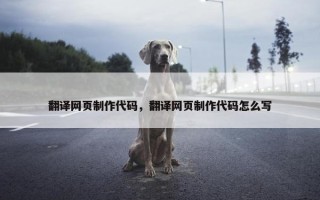 翻译网页制作代码，翻译网页制作代码怎么写