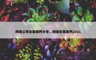 网络公司犯罪案例分享，网络犯罪案例2021