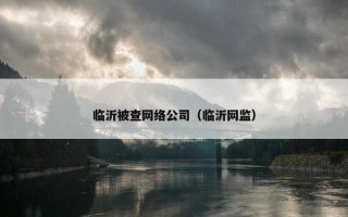 临沂被查网络公司（临沂网监）