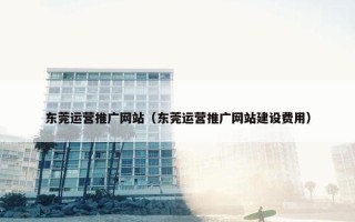 东莞运营推广网站（东莞运营推广网站建设费用）