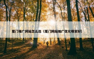 厦门推广网站怎么选（厦门网站推广优化哪家好）