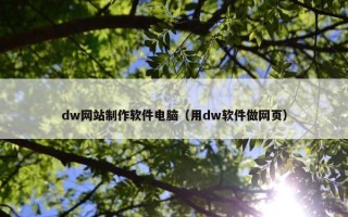 dw网站制作软件电脑（用dw软件做网页）