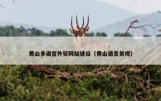 黄山多语言外贸网站建设（黄山语言景观）