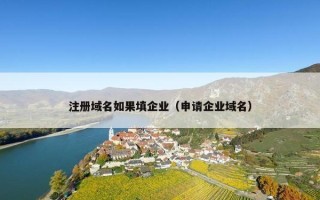 注册域名如果填企业（申请企业域名）