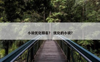 小说优化排名？ 优化的小说？