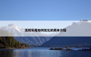 沈阳长尾如何优化的简单介绍