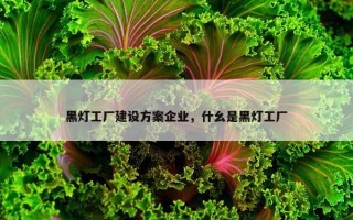 黑灯工厂建设方案企业，什幺是黑灯工厂