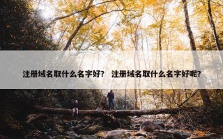 注册域名取什么名字好？ 注册域名取什么名字好呢？