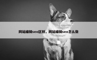 网站编辑seo区别，网站编辑seo怎么做