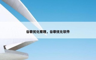 谷歌优化原理，谷歌优化软件