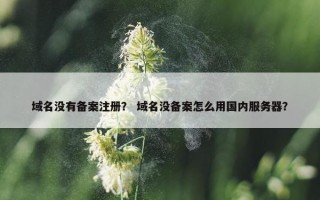 域名没有备案注册？ 域名没备案怎么用国内服务器？