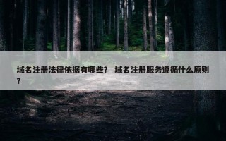 域名注册法律依据有哪些？ 域名注册服务遵循什么原则？