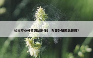 松岗专业外贸网站制作？ 东莞外贸网站建设？