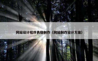 网站设计程序表格制作（网站制作设计方案）