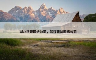 湖北搭建网络公司，武汉建站网络公司