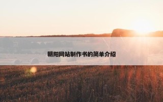 朝阳网站制作书的简单介绍