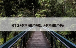 裕华区外贸网站推广教程，外贸网络推广平台