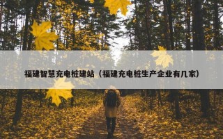 福建智慧充电桩建站（福建充电桩生产企业有几家）
