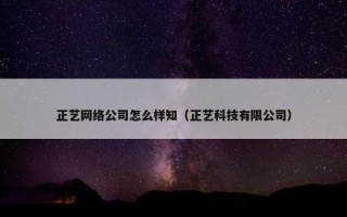 正艺网络公司怎么样知（正艺科技有限公司）