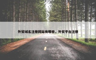 外贸域名注册网站有哪些，外贸平台注册