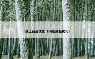 线上商品优化（网店商品优化）