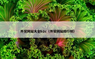 外贸网站大全b2c（外贸网站排行榜）