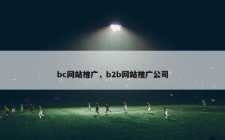 bc网站推广，b2b网站推广公司