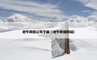 老牛网络公司干嘛（老牛数据网站）