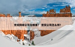 世贸网络公司在哪里？ 世贸公司怎么样？
