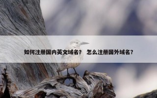 如何注册国内英文域名？ 怎么注册国外域名？