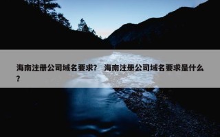 海南注册公司域名要求？ 海南注册公司域名要求是什么？
