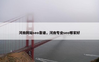 河南网站seo靠谱，河南专业seo哪家好