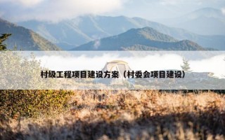 村级工程项目建设方案（村委会项目建设）
