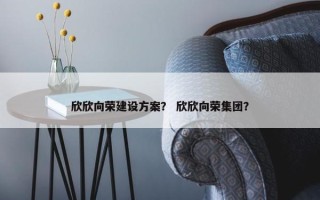 欣欣向荣建设方案？ 欣欣向荣集团？