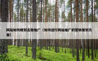网站如何规划去做推广（如何进行网站推广的营销策划方案）