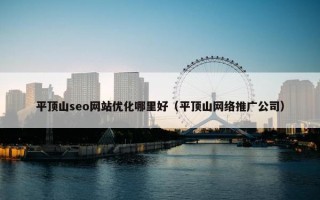 平顶山seo网站优化哪里好（平顶山网络推广公司）