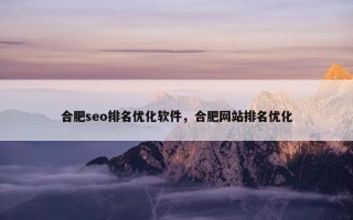 合肥seo排名优化软件，合肥网站排名优化