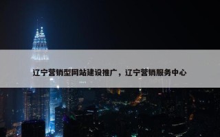 辽宁营销型网站建设推广，辽宁营销服务中心
