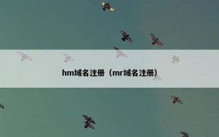 hm域名注册（mr域名注册）