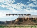 国外引擎制作网站（国外引擎大全百鸣）