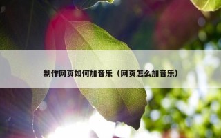制作网页如何加音乐（网页怎么加音乐）